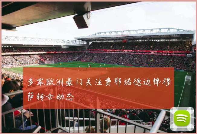 多家欧洲豪门关注费耶诺德边锋穆萨转会动态